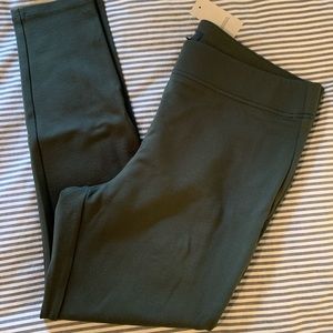 NWT Hunter Green Loft Ponte Leggings sz L petite